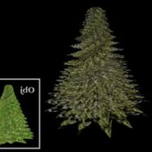 Realistic Christmas Pine Tree