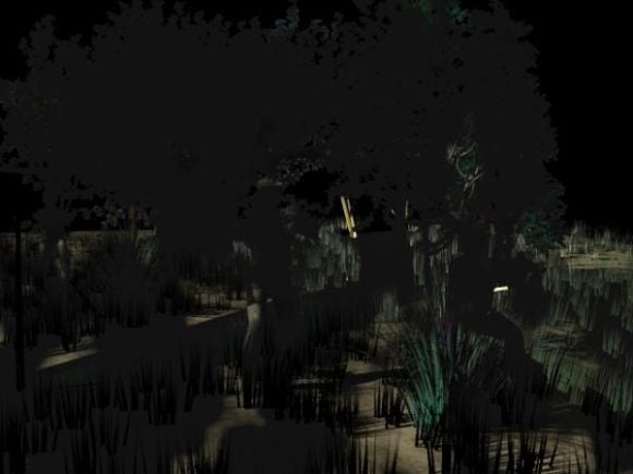Dark Forest Night Landscape
