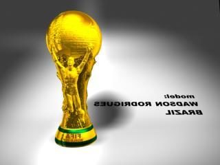 Fifa Football World Cup