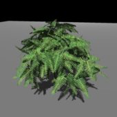 Fern Tree Plant Realistic