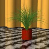 Fern Planter Potted Plant