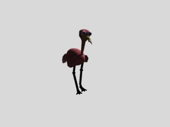 Baby Flamingo Animal