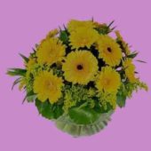 Sunflower Flower Gift