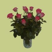 Rose Flower In Glass Vase