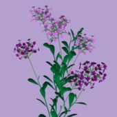 Purple Flower Plant Set