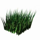 Grass Unit