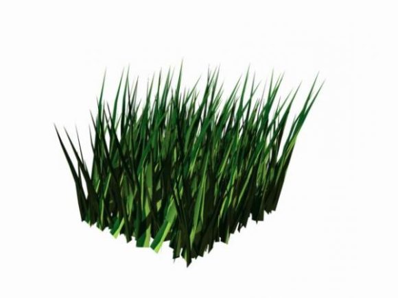 Grass Unit