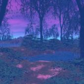 Twilight Forest Landscape