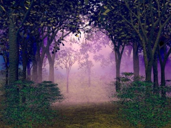Lavender Forest Landscape