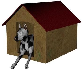 Pet House With Dog