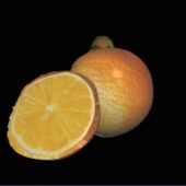 Two Oranges Fruit