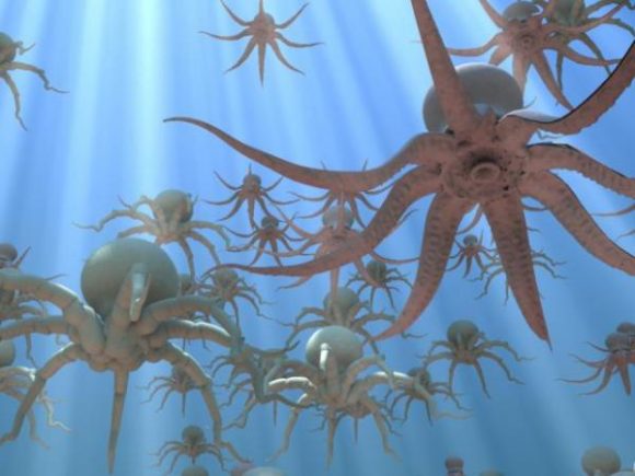 Octopus Character Underwater Animal