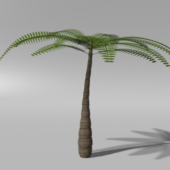Palm Tree Tropical Tree