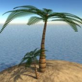 Tropical Palm Tree, Island