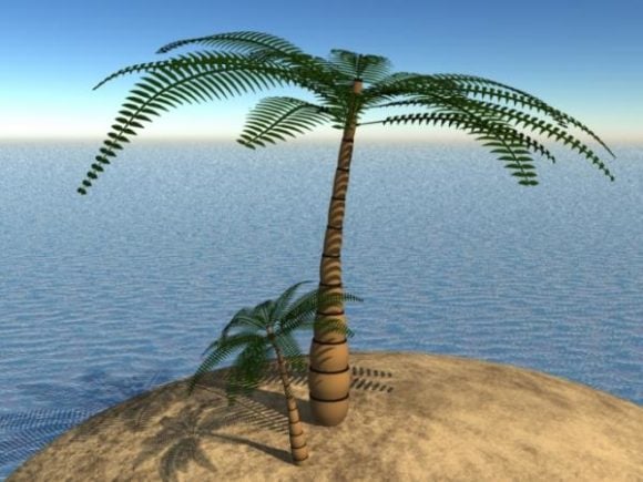 Tropical Palm Tree, Island