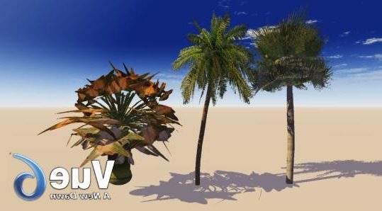 Palm Trees Realistic