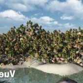 Palm Beach Tree Island Landscape