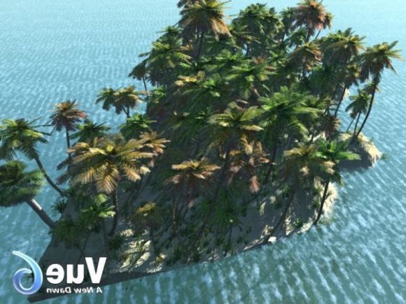 Nature Palm Tree Island Landscape