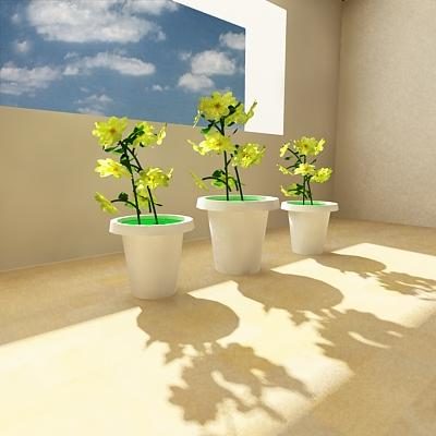 Three Potted Plant Decorative