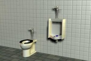 Sanitary Toilet And Urinal