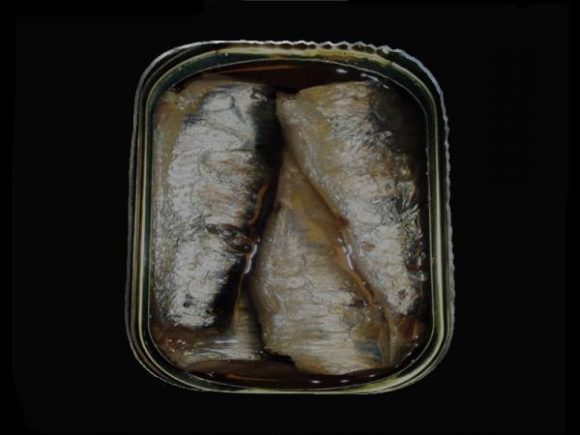 Sardines Food