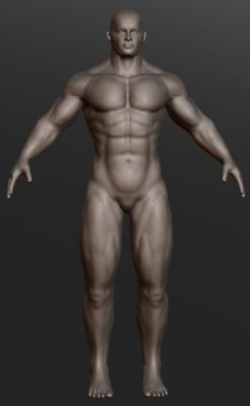 Human Male Body
