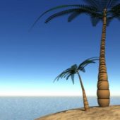 Palm Tree, Beach Tree