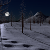 Snow Landscape At Moon Night