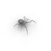 Spider Lowpoly Animal