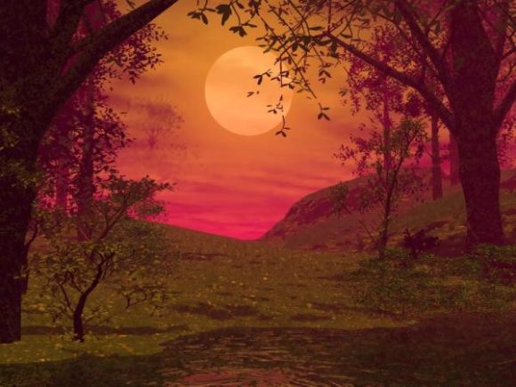 Jungle Trees Sunset Landscape