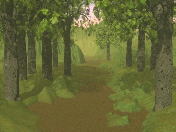 The Path In Forest Landscape