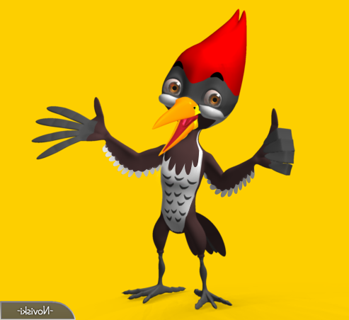 Cartoon Animal Woodpecker Bird