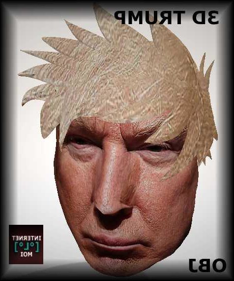 Trump Face With Hair