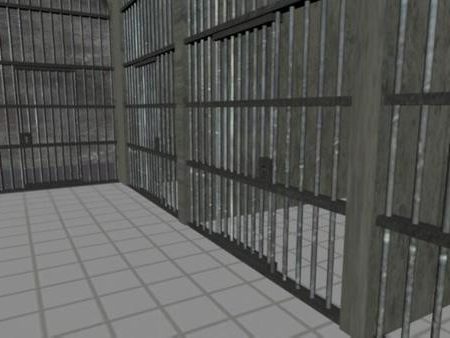 Underground Cells Fence