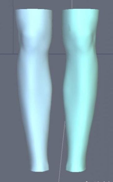 Leg Anatomy Character