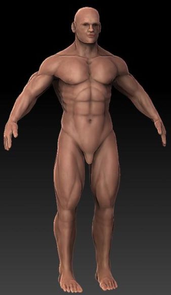 Robust Man Body