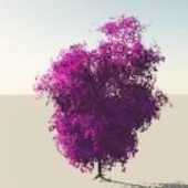 Purple Broadleaf Tree