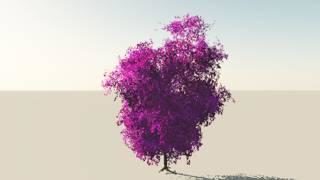 Purple Broadleaf Tree