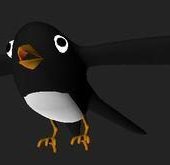 Cartoon Swallow With Rigged