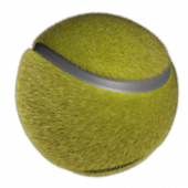 Sport Tennis Ball