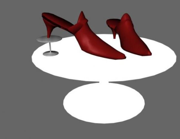 The Shoe On Table