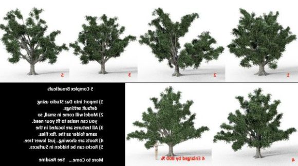 Broadleaf Tree Set