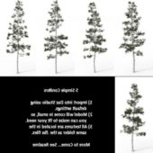 Simple Conifer Tree