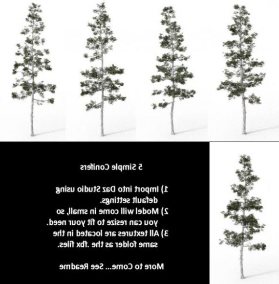 Simple Conifer Tree