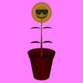 Sunflower Plant Emoticon