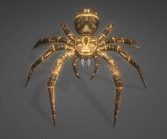 Spider Animal
